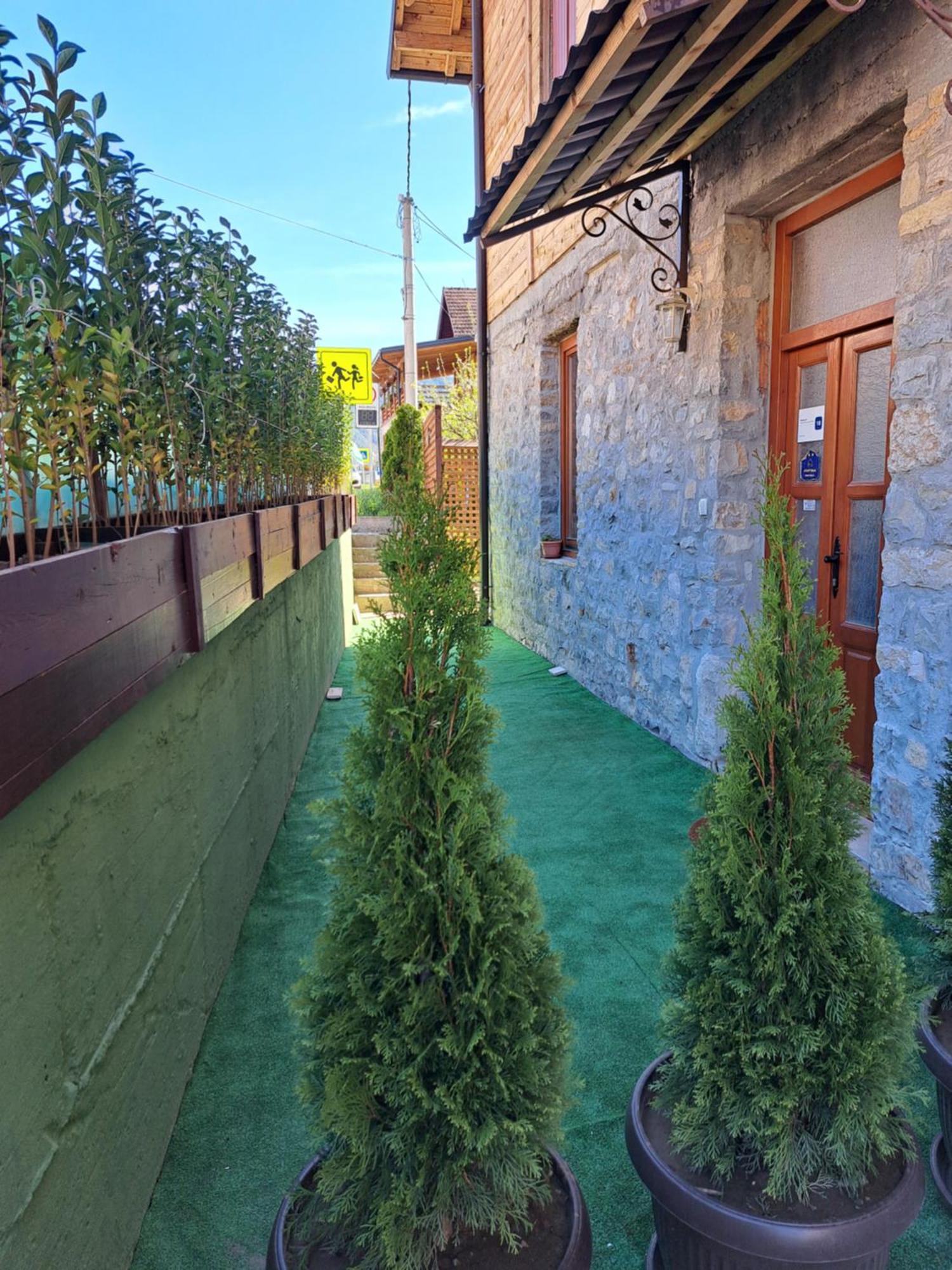 Stara Kuca Διαμέρισμα Μόκρα Γκόρα Εξωτερικό φωτογραφία